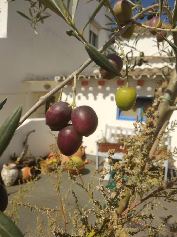 Bea'S Bed & Breakfast Tavira Exterior photo